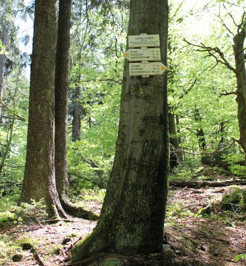Lysá hora