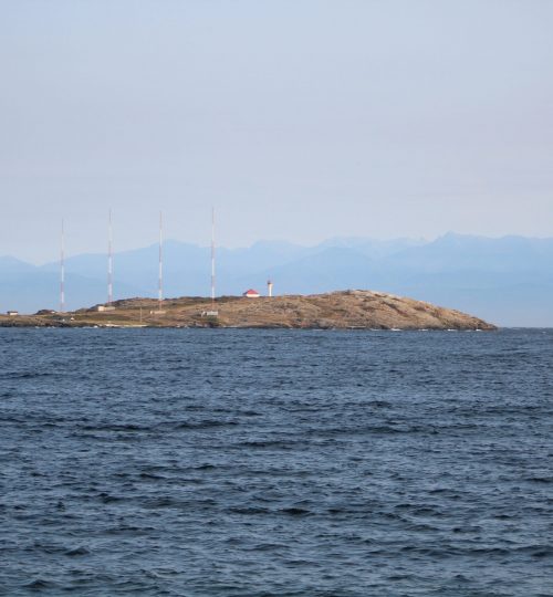 Výhled na Trial Island Lighthouse