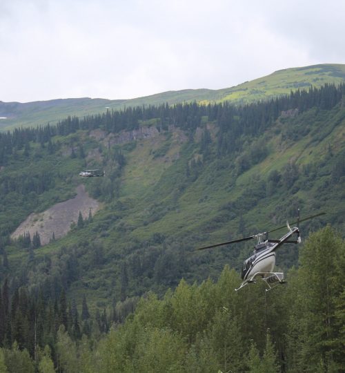 Vrtulníky jako běžnej dopravní prostředek na severu BC.