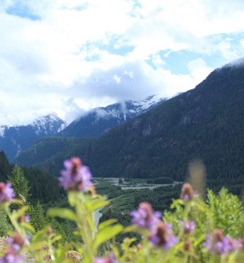 52 Jarní výhledy na Squamish Valley