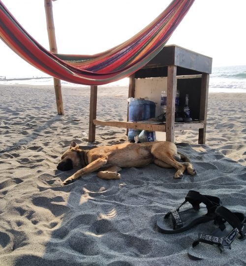 San Juan druhej den - na pláži jen my a pes