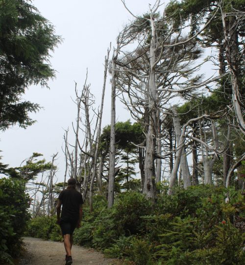 Ucluelet a Wild Pacific Trail I.